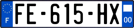 FE-615-HX