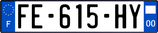 FE-615-HY