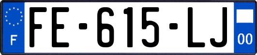 FE-615-LJ