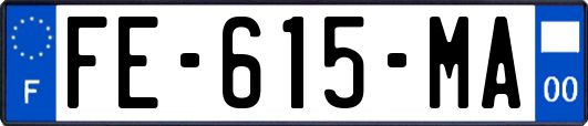FE-615-MA