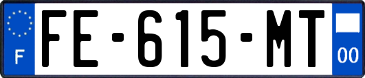 FE-615-MT