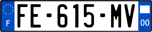FE-615-MV