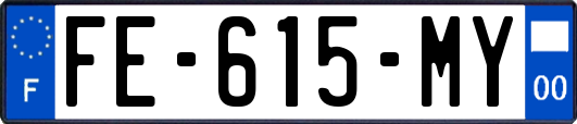 FE-615-MY