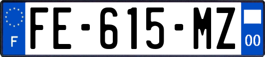 FE-615-MZ