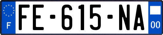 FE-615-NA