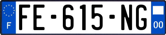 FE-615-NG