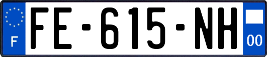 FE-615-NH