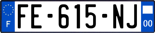FE-615-NJ
