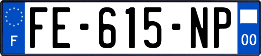 FE-615-NP