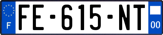 FE-615-NT