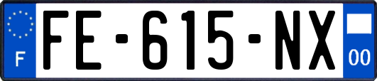 FE-615-NX