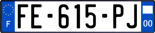 FE-615-PJ