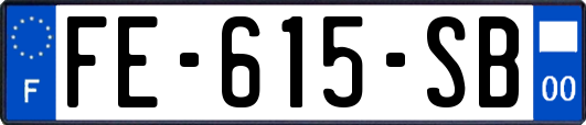 FE-615-SB