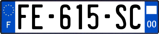 FE-615-SC
