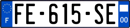 FE-615-SE