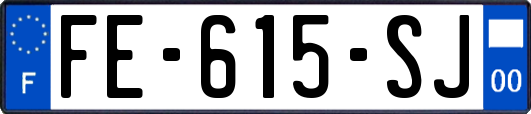 FE-615-SJ