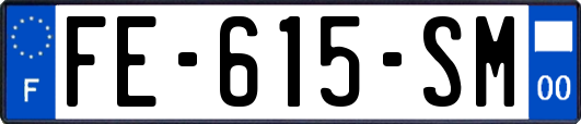 FE-615-SM