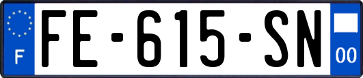 FE-615-SN
