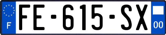 FE-615-SX