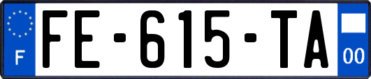 FE-615-TA