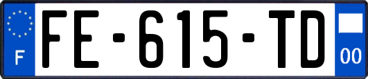 FE-615-TD