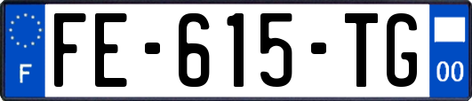 FE-615-TG