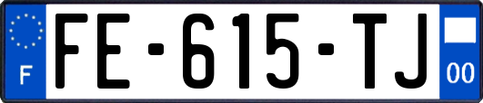 FE-615-TJ