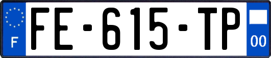 FE-615-TP
