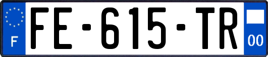 FE-615-TR