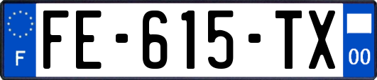 FE-615-TX