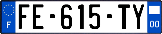 FE-615-TY