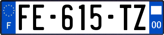 FE-615-TZ