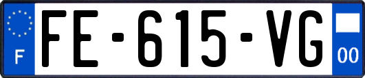 FE-615-VG