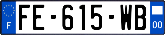 FE-615-WB