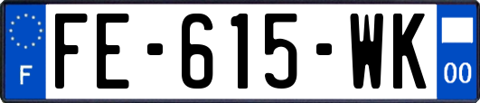 FE-615-WK