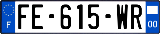 FE-615-WR
