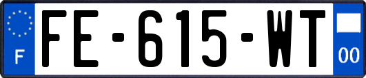 FE-615-WT