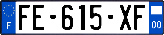 FE-615-XF
