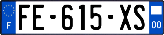 FE-615-XS