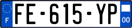FE-615-YP