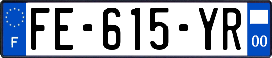 FE-615-YR