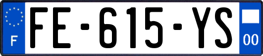 FE-615-YS