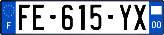 FE-615-YX