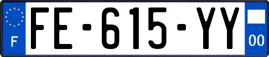 FE-615-YY