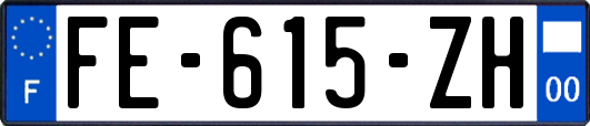 FE-615-ZH