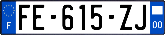 FE-615-ZJ