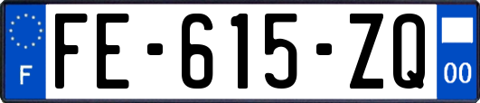 FE-615-ZQ