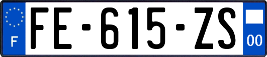 FE-615-ZS