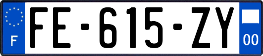 FE-615-ZY