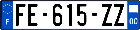 FE-615-ZZ